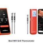 best wifi grill thermometer
