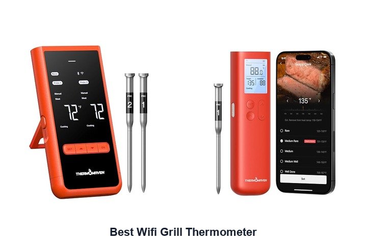 best wifi grill thermometer