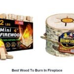 best wood to burn in fireplace